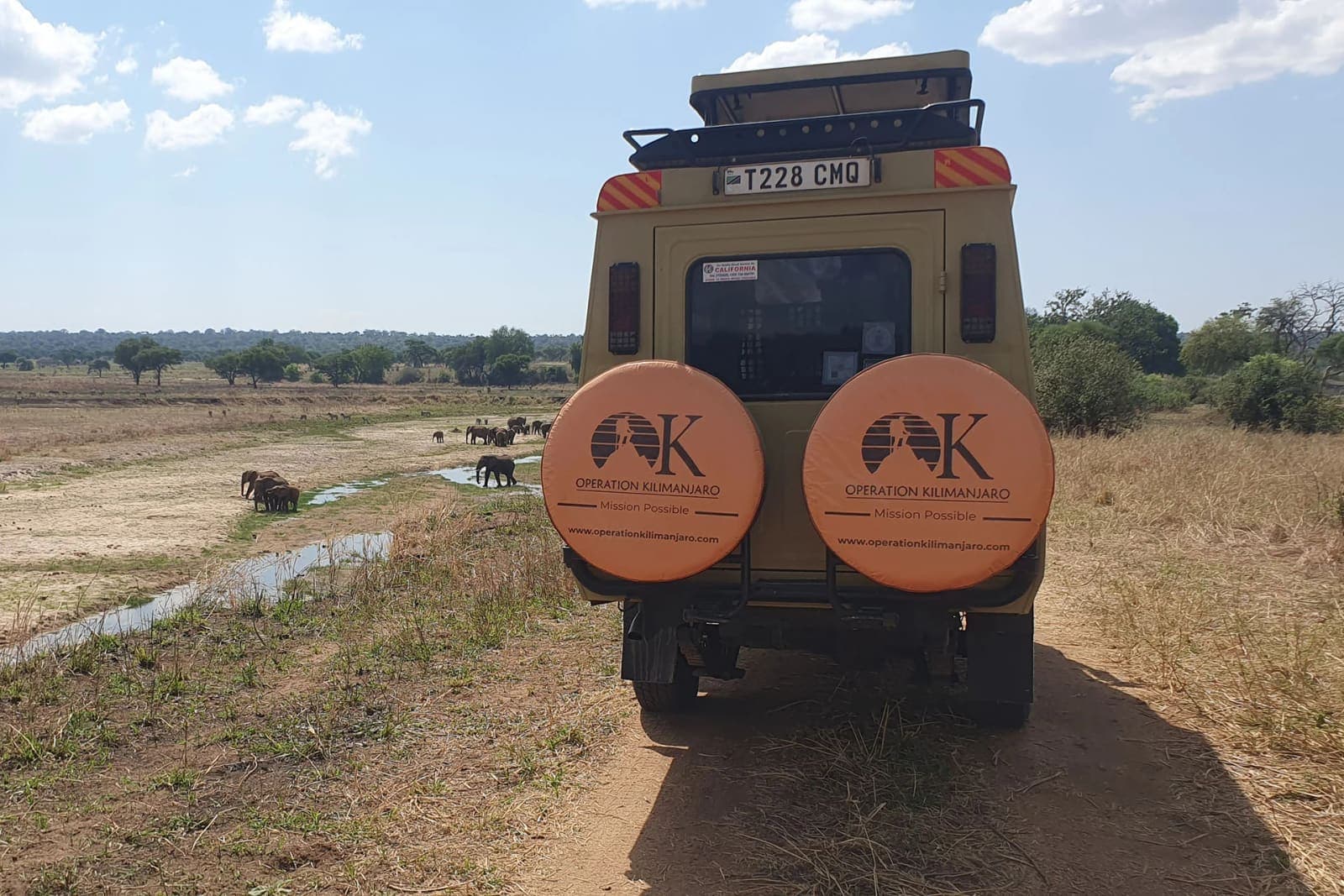 An Operation Kilimanjaro safari vehicle watching elephants
