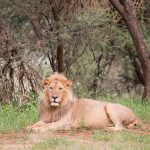 Most Recommended Tour Attractions in Tanzania