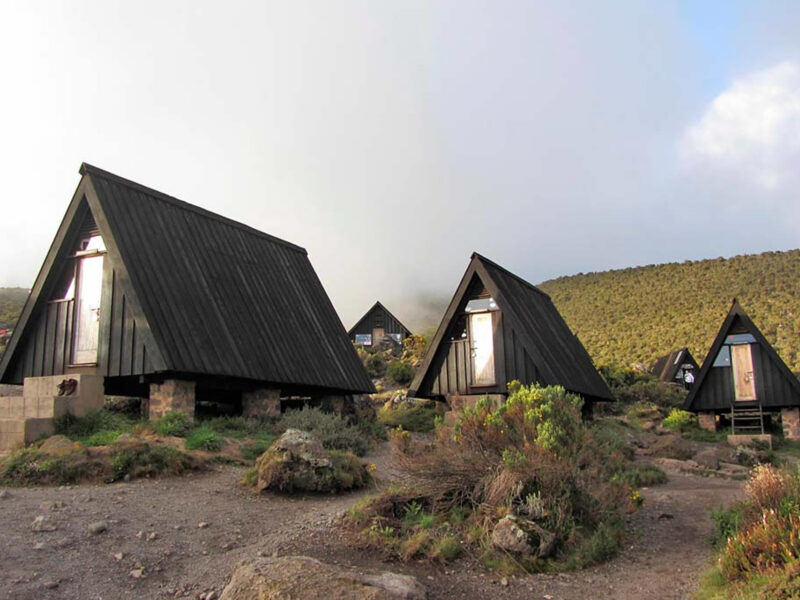 5 Days Kilimanjaro Marangu Route