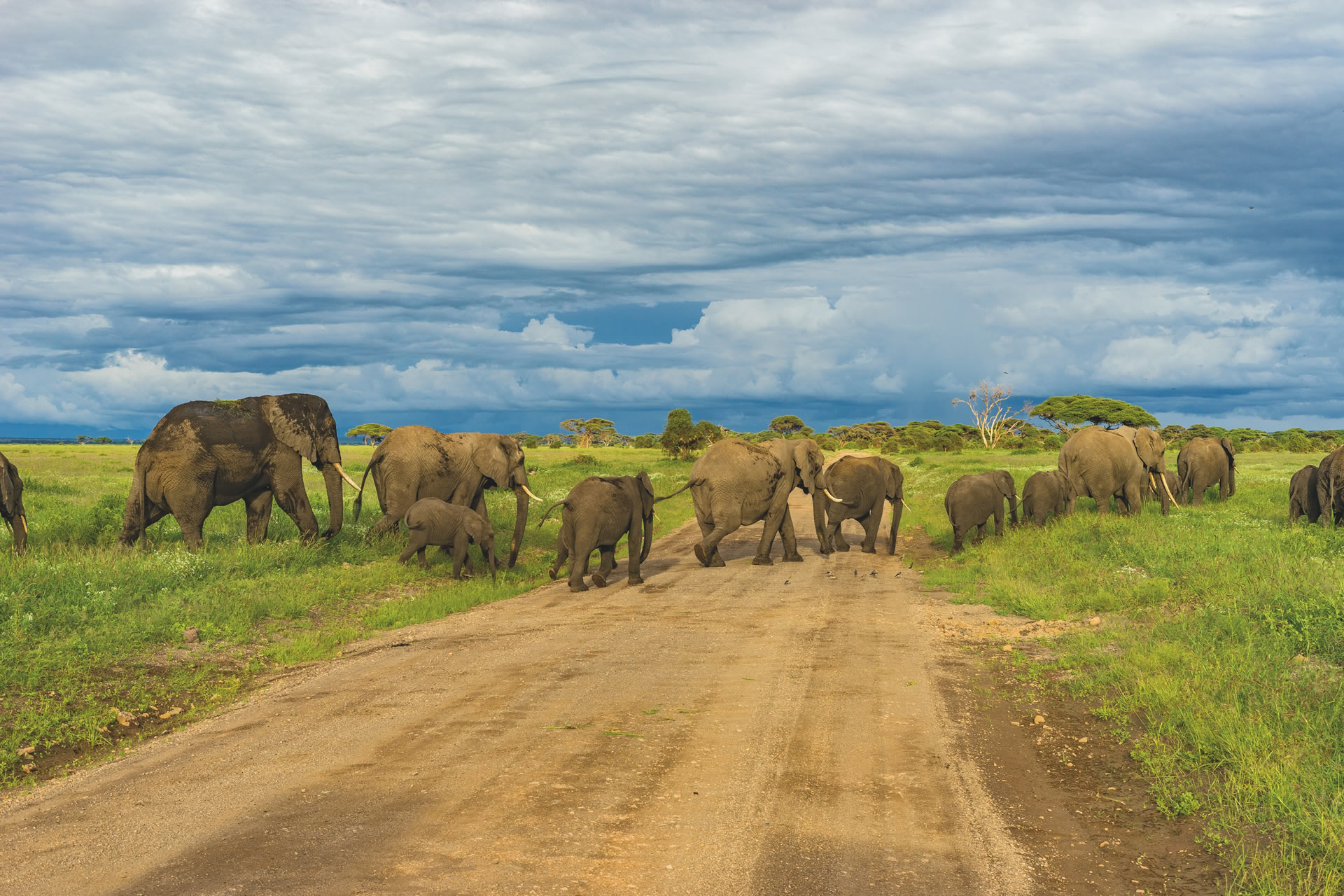 Combined Tanzania Tours