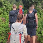Successful mount kilimanjaro hikes