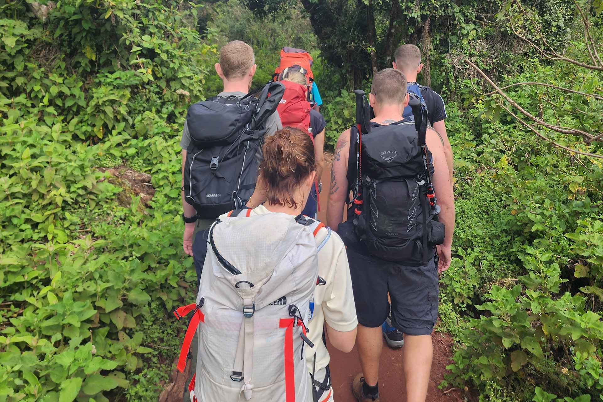 Successful mount kilimanjaro hikes
