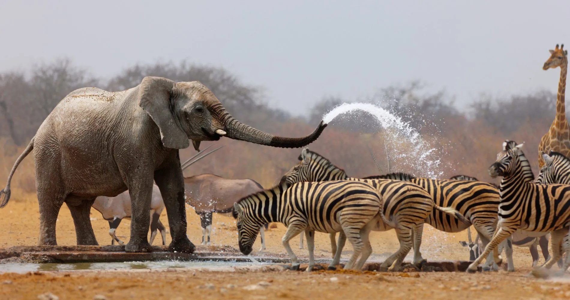 Visit Arusha National Park