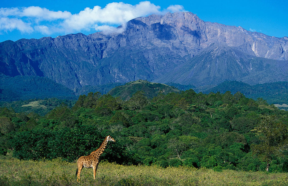 Visit Arusha National Park
