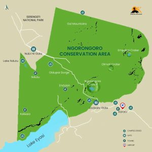 Visit Ngorongoro Conservation Area