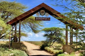 visit Serengeti National Park
