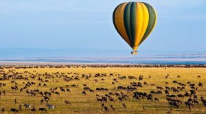 visit Serengeti National Park