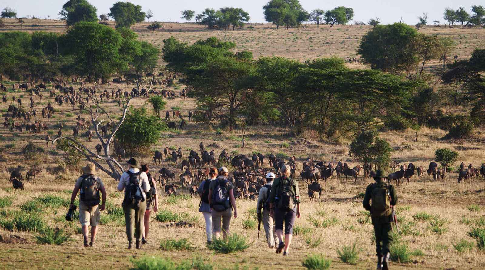 Tanzania Walking Safari Guidelines
