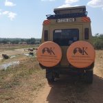 4 Days Tanzania Budget Safari