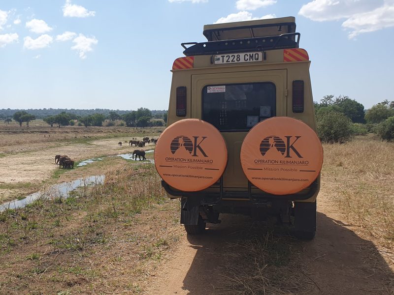 4 Days Tanzania Budget Safari