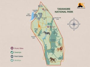 Visit Tarangire National Park