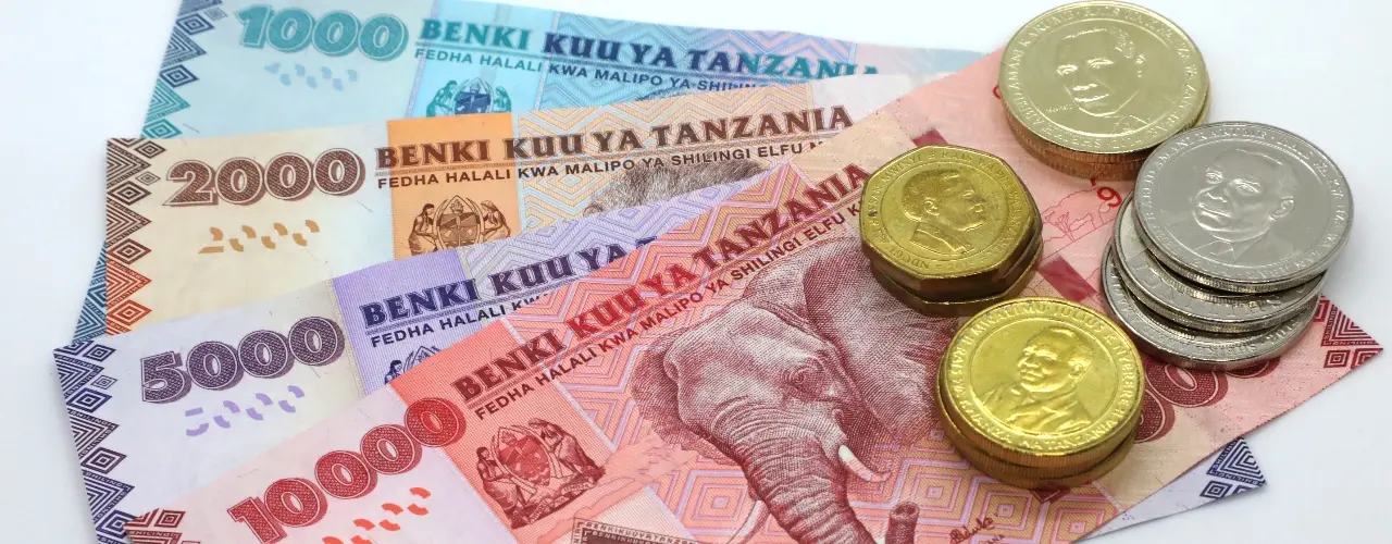 What Currency Should You Use for Cash Payments & Tipping in Tanzania?